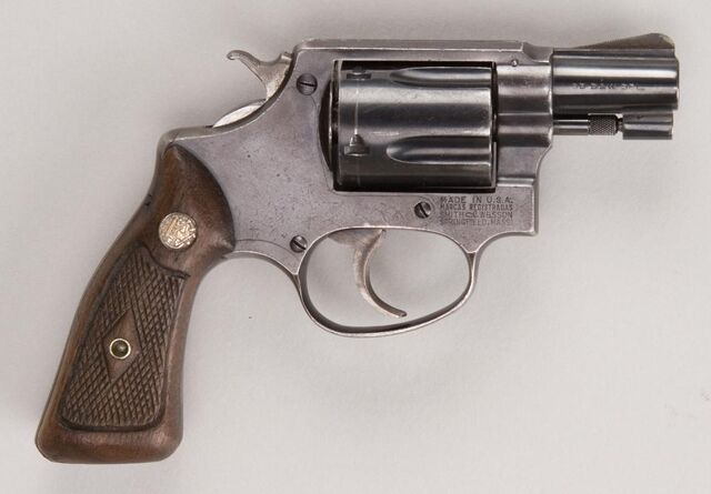 File:Max's gun.jpg