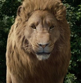Thumbnail for version as of 13:59, July 17, 2012
