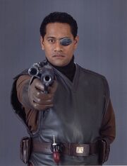 Captain typhi
