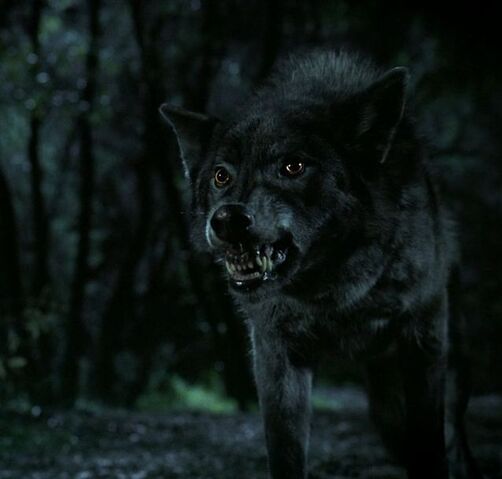 File:Werewolf.jpg
