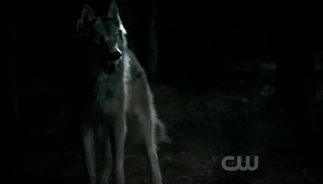 File:Tvd2-3-5.jpg