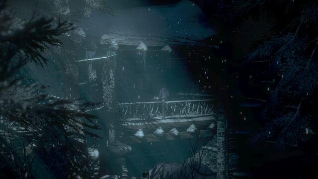 File:Until Dawn™ 20150903005533.jpg