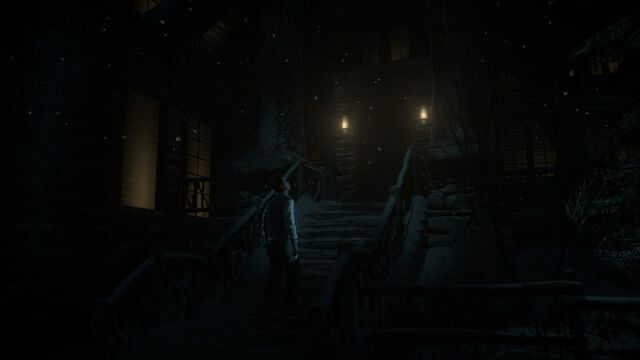 File:Until Dawn™ 20150826000353.jpg