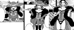 Three clones of Dana