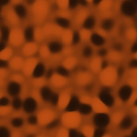 File:Blender diff-0.jpg