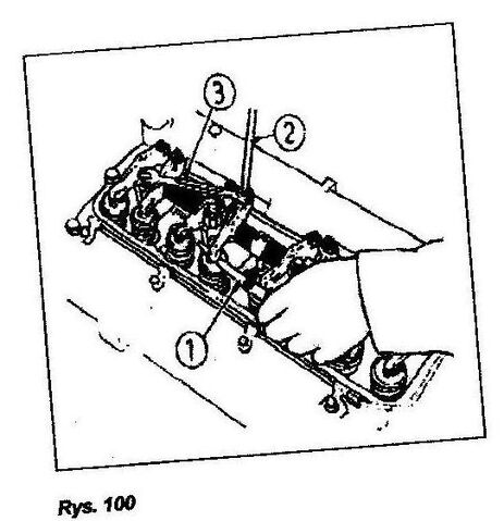 Plik:Rys. 100.jpg