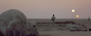 SW binary sunset