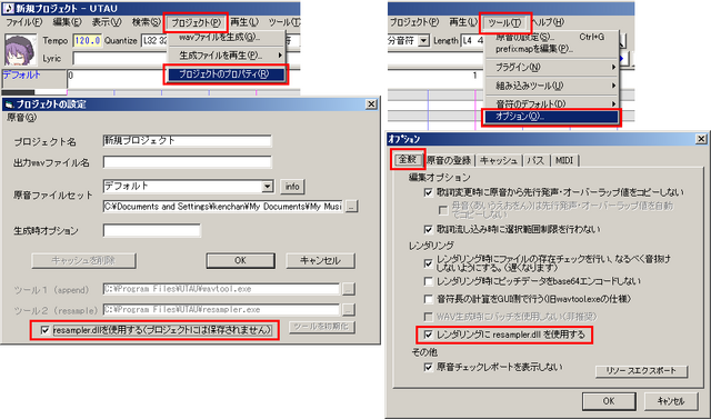 File:3-3resamplerdll.png