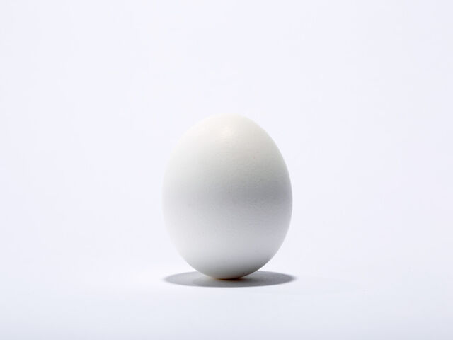 File:Egg Official Art .jpg