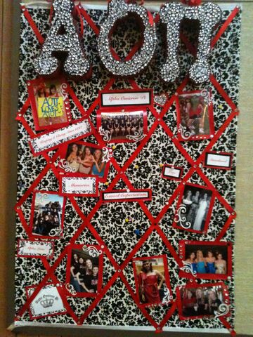 File:Alpha Omicron Pi Board.jpg