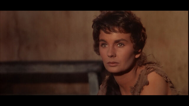 File:Large spartacus blu-ray7.jpg