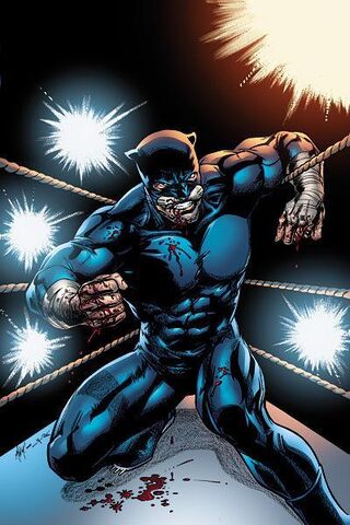 File:Wildcat.jpg
