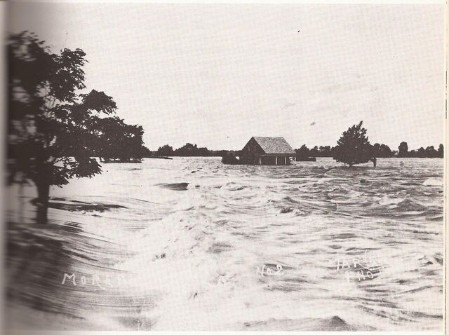 File:Current pg 41 deep.jpg