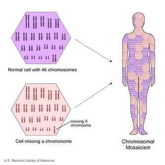 Mosaicism