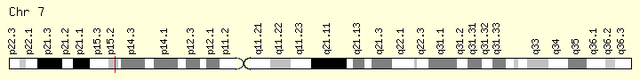 File:HOXA1-gene.png