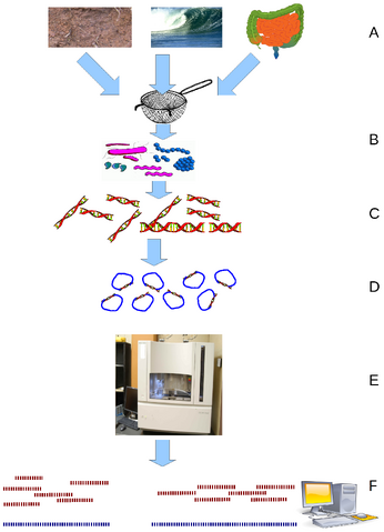 File:Journal.pcbi.1000667.g001.png
