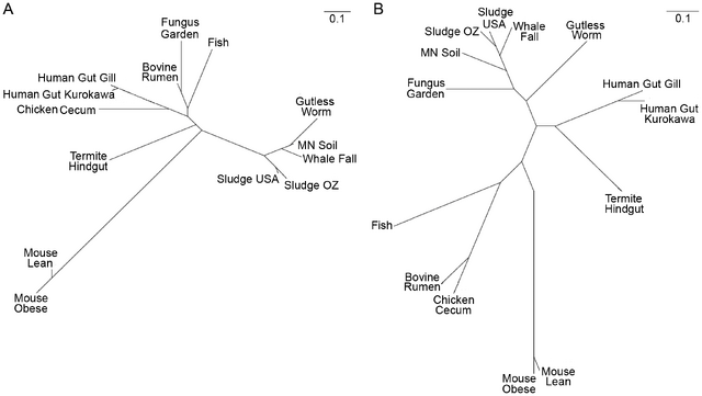 File:Journal.pgen.1001129.g003.png