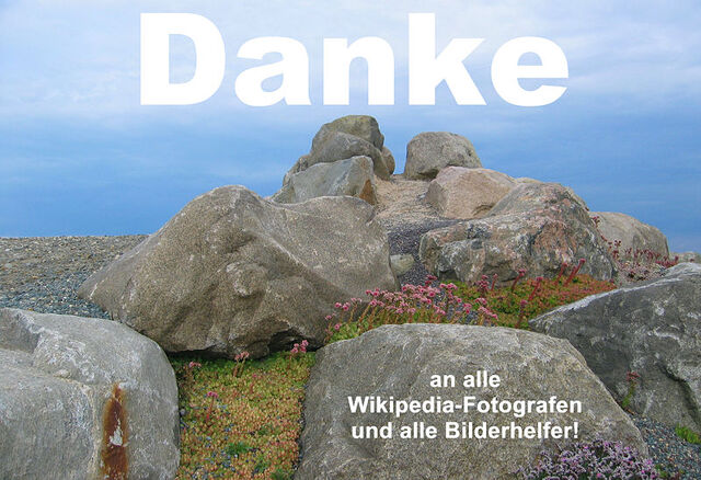 File:UWN - Danke.jpg