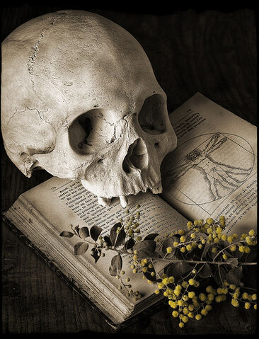 File:Necromancy.jpg