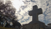 Vlcsnap-2014-12-26-21h48m48s10.png