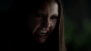 Elena13.png