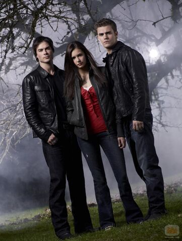 Arquivo:The-vampire-diaries.jpg