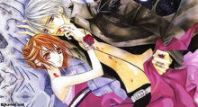 Yuuki-Zero-vampire-knight-yuki-zero-2601541-500-271.jpg