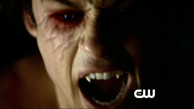 Fichier:Damon-elena-stefan-the-vampire-diaries-32255113-1920-1080.jpg