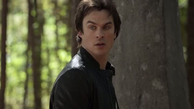 File:6X10-120-Damon.jpg