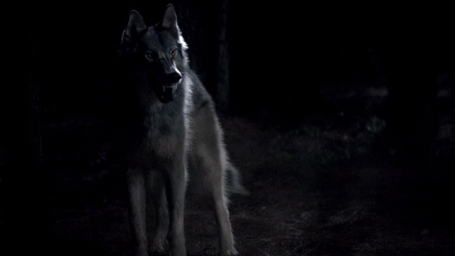 File:Werewolf1.png