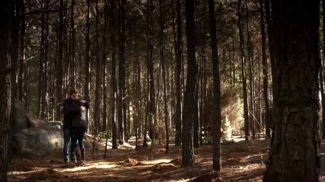 File:6X13-105-StefanCaroline.jpg