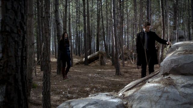 File:Elijah-and-Elena-3x15-elijah-and-elena-29159608-1280-720.jpg