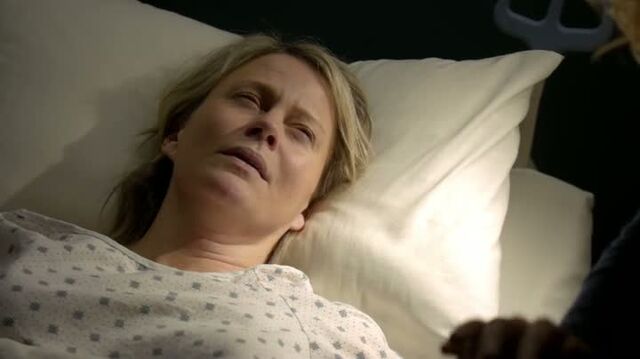 File:6X12-100-Liz.jpg