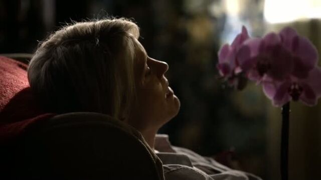 File:6X11-21-Liz.jpg