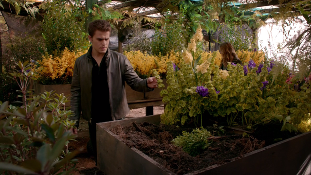 File:Herbs4.png