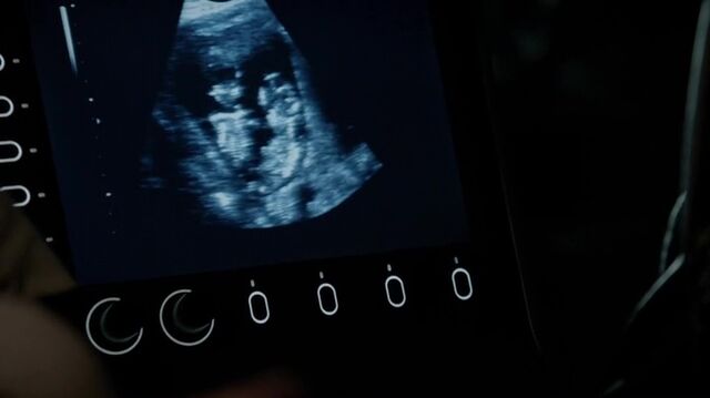 File:7X07-135-Twins.jpg