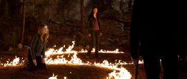 The-vampire-diaries-das-35077 big