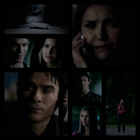 File:Delena Moments 3x22.jpg