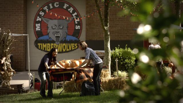 File:Logowolf.jpg