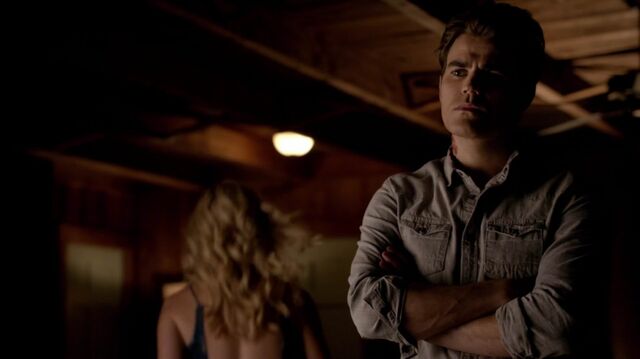File:Normal tvd602 1584.jpg