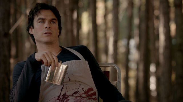 File:715-026-Damon.jpg
