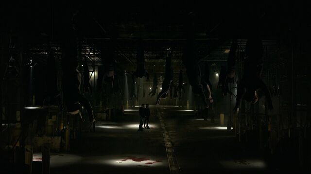 File:Dead Bodies 722.jpg