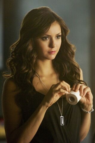 Archivo:Vampire diaries 2x02.jpg