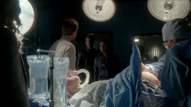 File:713-091-Stefan-Bonnie-Caroline-Alaric.jpg