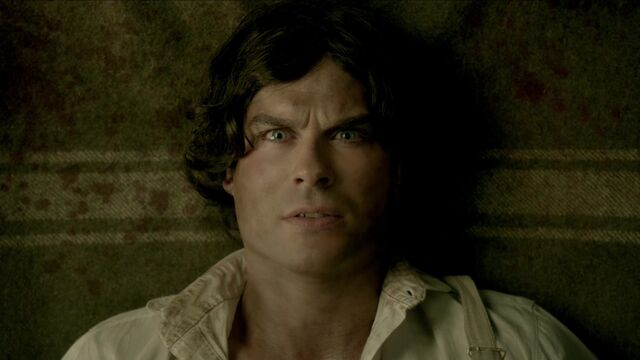 File:710-056-Damon.jpg