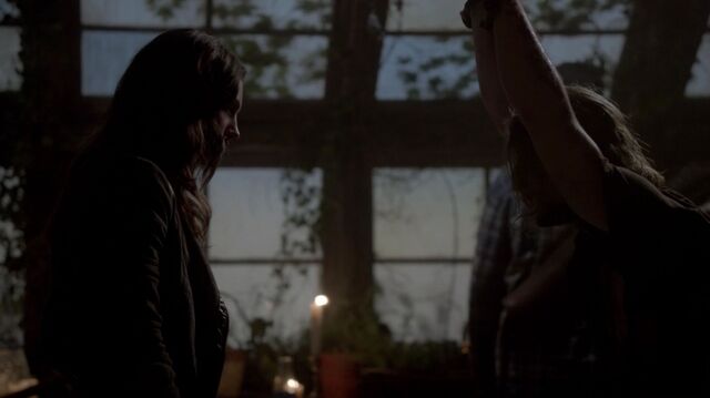 File:Normal TheOriginals206-1466.jpeg