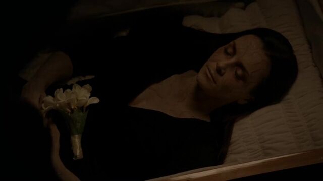 File:7X09-10-Lily.jpg