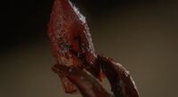4x02 2.jpg