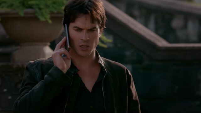 File:714-046-Damon.jpg