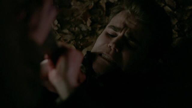 File:714-107-Stefan-Rayna.jpg